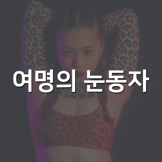여명의 눈동자, 돌연 공연 종료 왜 벌어졌을까요? - 요약