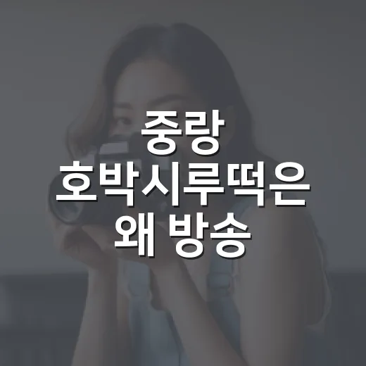 중랑 호박시루떡은 왜 방송 뒤에도 궁금할까요? - 요약