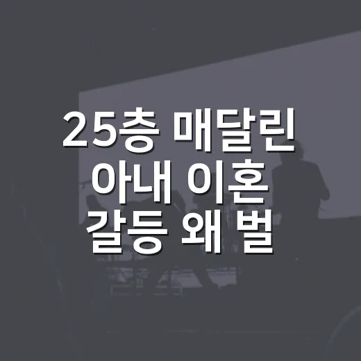 25층 매달린 아내 이혼 갈등 왜 벌어졌을까요? - 요약
