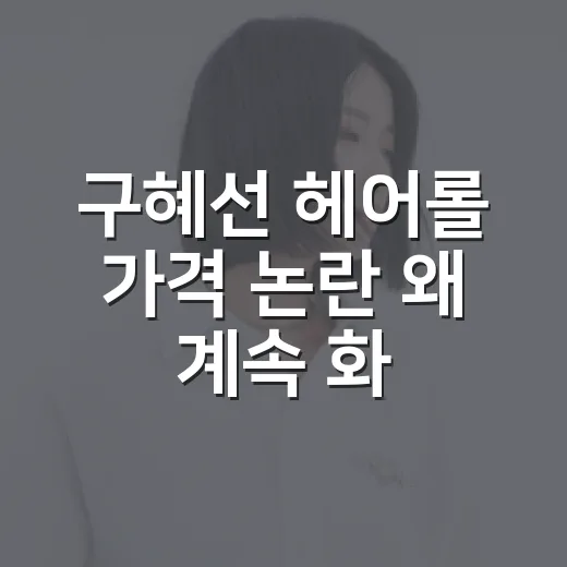 구혜선 헤어롤 가격 논란 왜 계속 화제일까요? - 요약