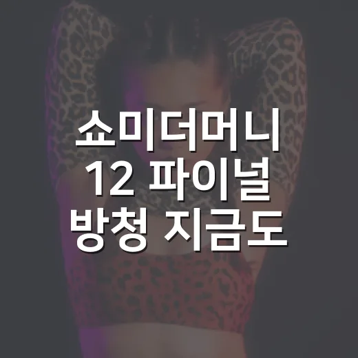 쇼미더머니 12 파이널 방청 지금도 신청할 수 있나요? - 요약