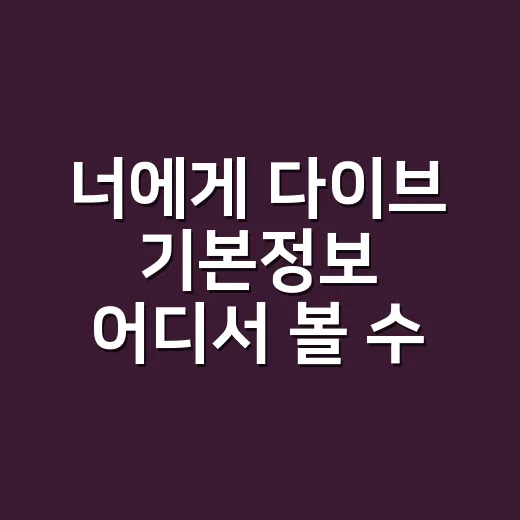 너에게 다이브 기본정보 어디서 볼 수 있나요? - 요약