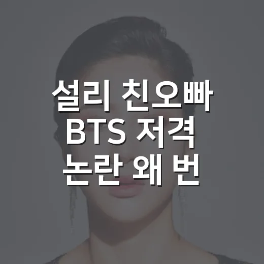 설리 친오빠 BTS 저격 논란 왜 번졌을까요? - 요약