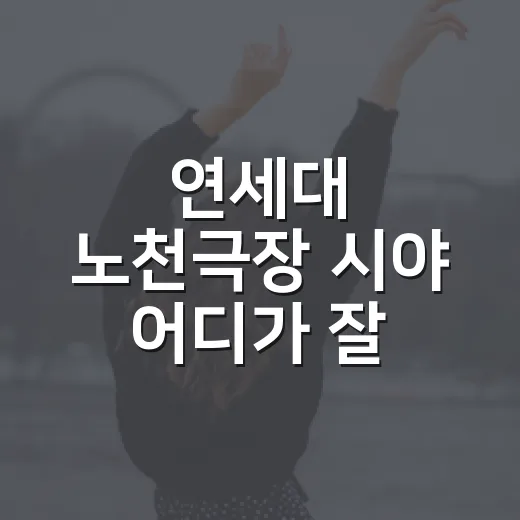 연세대 노천극장 시야 어디가 잘 보일까요? - 요약