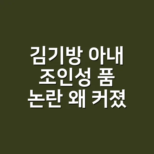 김기방 아내 조인성 품 논란 왜 커졌을까요? - 요약