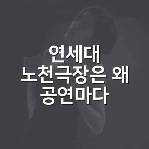 연세대 노천극장은 왜 공연마다 화제일까요? - 요약
