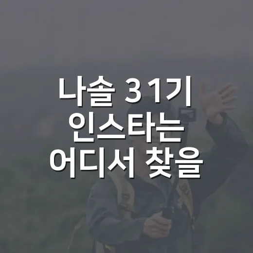 나솔 31기 인스타는 어디서 찾을 수 있을까요? - 요약