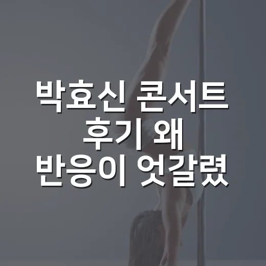 박효신 콘서트 후기 왜 반응이 엇갈렸을까요? - 요약