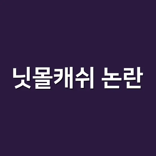 닛몰캐쉬 논란, 지금 어디까지 확인됐나요? - 요약