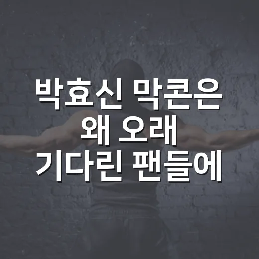 박효신 막콘은 왜 오래 기다린 팬들에게 특별했을까요? - 요약