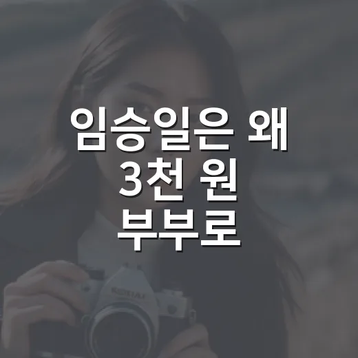 임승일은 왜 3천 원 부부로 불렸을까요? - 요약