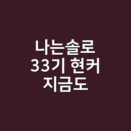 나는솔로 33기 현커 지금도 있을까요? - 요약