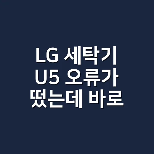 LG 세탁기 U5 오류가 떴는데 바로 AS를 불러야 할까요? - 요약