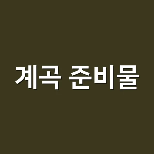 계곡 준비물, 물놀이 전에 무엇부터 챙기고 계신가요? - 요약