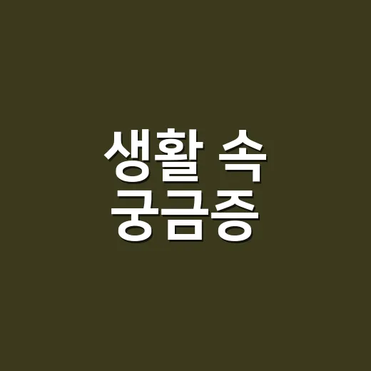 생활 속 궁금증, 어디서부터 확인해야 막히지 않을까요? - 요약