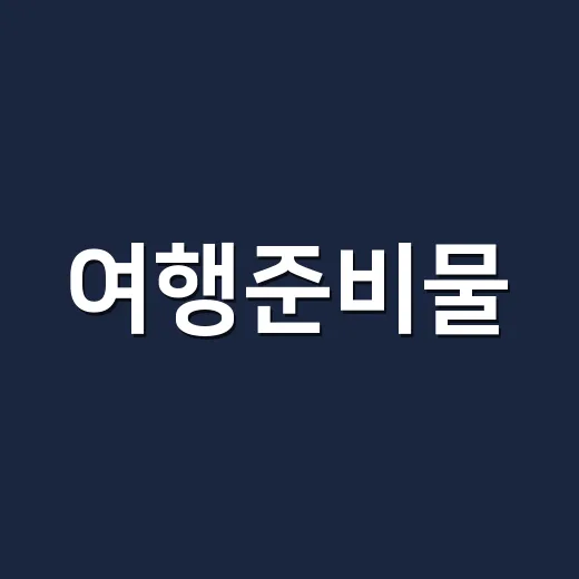 여행준비물, 막상 …