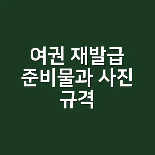 여권 재발급 준비물…