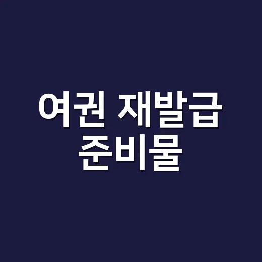 여권 재발급 준비물…