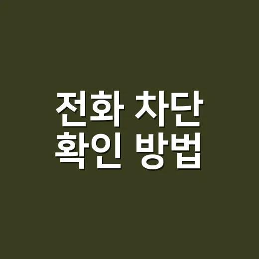 전화 차단 확인 방법, 상대가 나를 차단한 건지 어떻게 구분할까요? - 요약