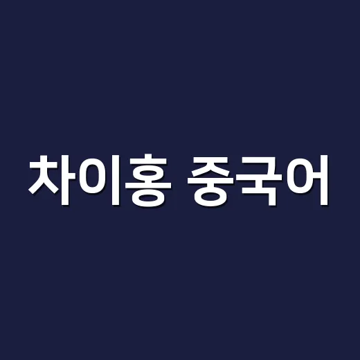 차이홍 중국어, 우리 아이에게 맞는 수업인지 궁금하신가요? - 요약