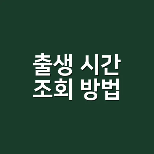 출생 시간 조회 방법, 기본증명서로 바로 확인할 수 있을까요? - 요약
