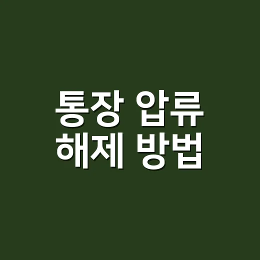 통장 압류 해제 방법, 어디부터 확인해야 할까요? - 요약
