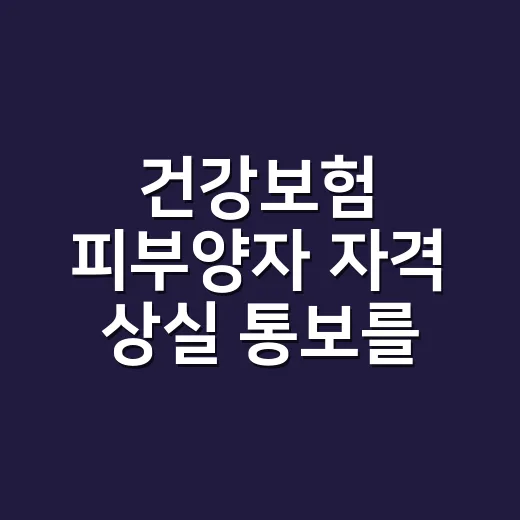 건강보험 피부양자 자격 상실 통보를 받으셨나요? - 요약