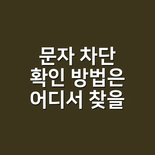문자 차단 확인 방법은 어디서 찾을 수 있나요? - 요약