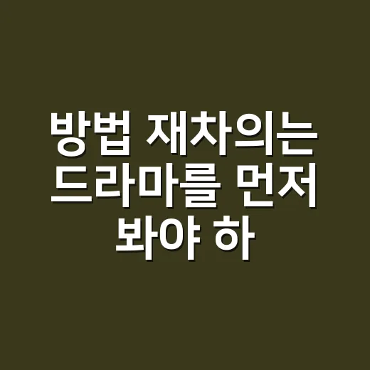 방법 재차의는 드라마를 먼저 봐야 하나요? - 요약