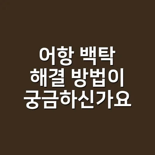 어항 백탁 해결 방법이 궁금하신가요? - 요약