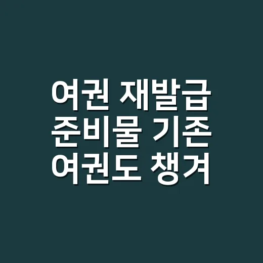 여권 재발급 준비물 기존 여권도 챙겨야 하나요? - 요약
