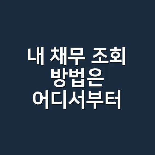 내 채무 조회 방법은 어디서부터 확인하면 될까요? - 요약