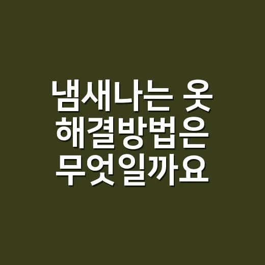 냄새나는 옷 해결방법은 무엇일까요? - 요약