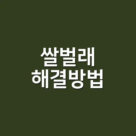 쌀벌래 해결방법, 쌀통부터 어떻게 치워야 할까요? - 요약