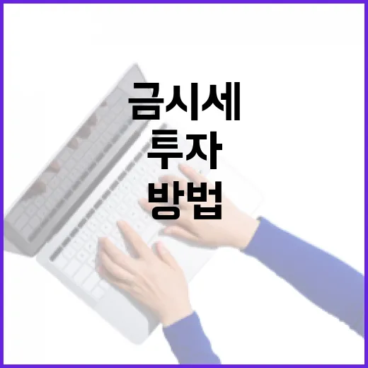 금시세를 이해하고 투자에 활용하는 방법 - 요약