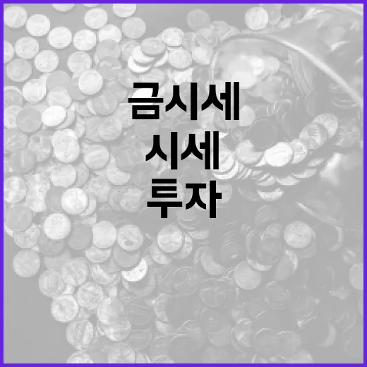 금시세를 이해하고 투자하는 방법 - 요약