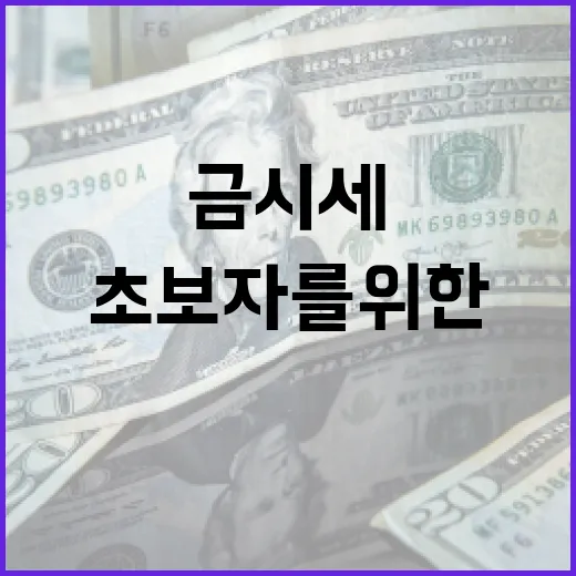 금시세 분석하는 방법: 초보자를 위한 가이드 - 요약