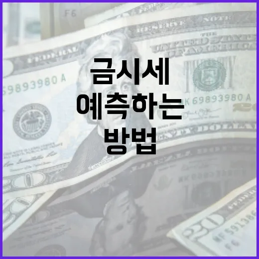 금시세를 이해하고 예측하는 방법 - 요약