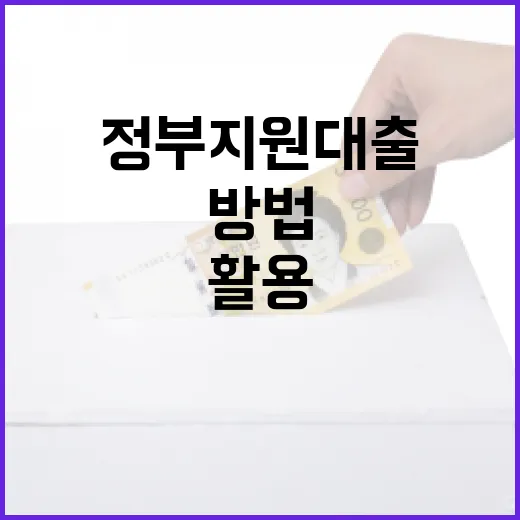 정부지원대출을 활용하여 금융 안정성 높이는 방법 - 요약
