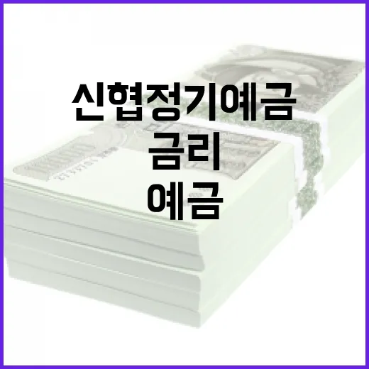 신협 정기예금 금리를 최대한 활용하는 방법 - 요약