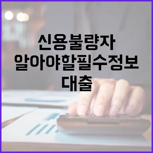 신용불량자 대출을 받는 방법: 알아야 할 필수 정보 - 요약