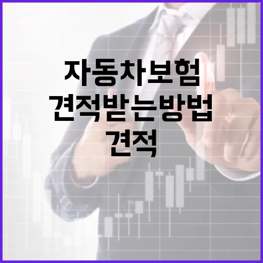 최적의 자동차보험 견적 받는 방법 - 요약