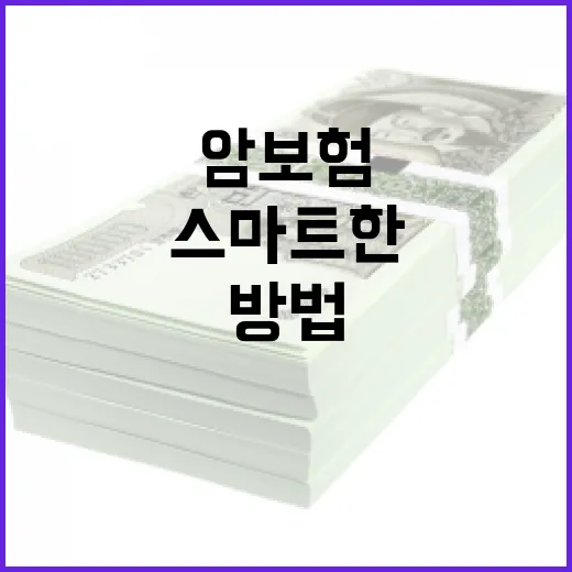 암보험을 비교하는 스마트한 방법 - 요약