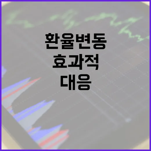 환율 변동을 이해하고 효과적으로 대응하는 방법 - 요약
