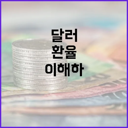 달러 환율을 이해하고 효과적으로 관리하는 방법 - 요약