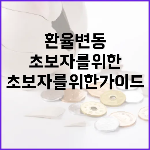 환율 변동을 이해하는 방법: 초보자를 위한 가이드 - 요약
