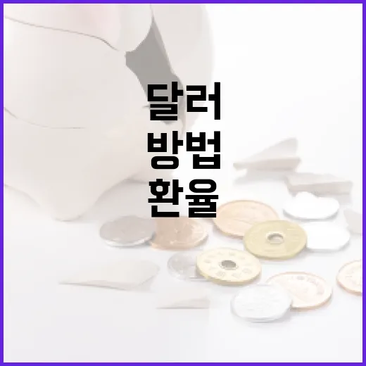 달러 환율을 이해하고 활용하는 방법 - 요약