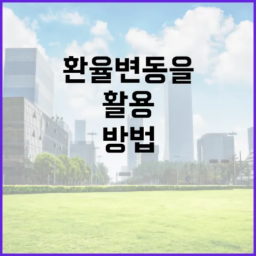 환율 변동을 이해하고 활용하는 방법 - 요약
