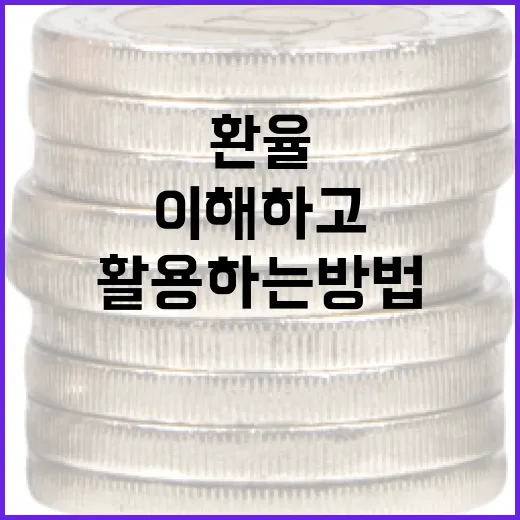 환율을 이해하고 활용하는 방법 - 요약