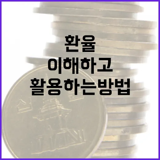 환율을 이해하고 활용하는 방법 - 요약